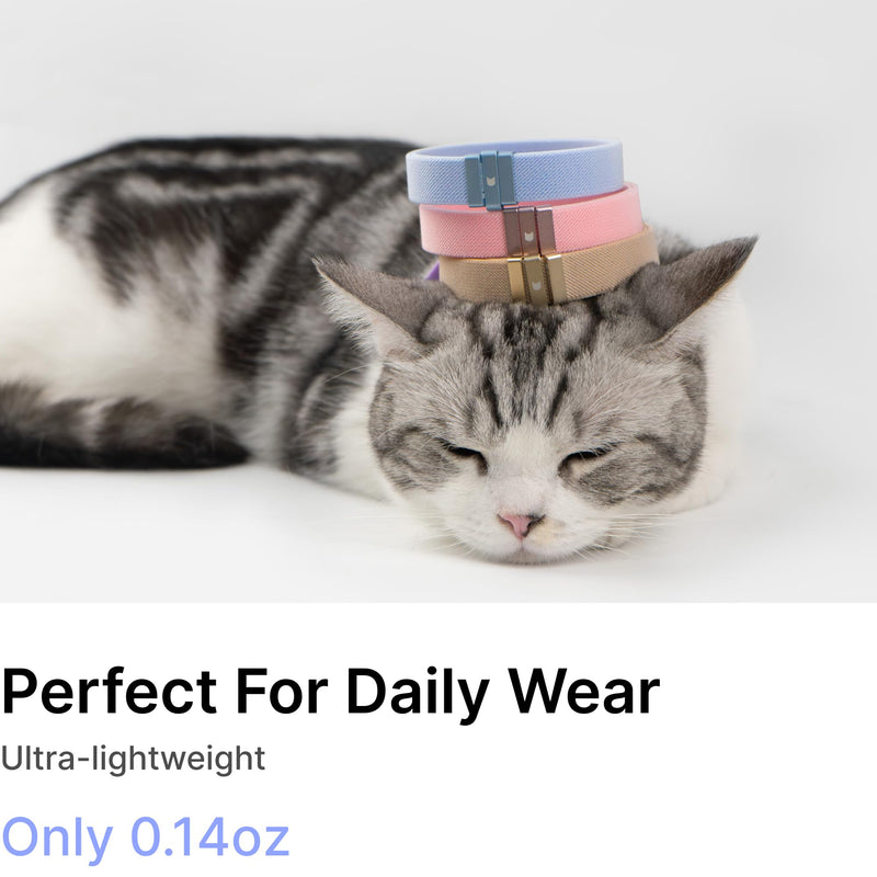 Safety Cat Collar - U.S. IDA Gold Awarding Design, Stretch Elastic Quick Release, Non Breakaway - Light Weight for Kitten, Neck Fit 5.9'-11.8' for All Small Large Cat,S(Sierra Blue) S (5.9-11.8 inch) Sierra Blue - BeesActive Australia