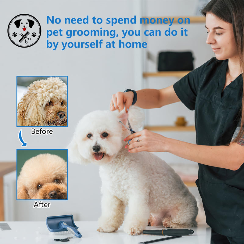 Curved dog scissors, dog scissors for dogs and cats, stainless steel fur scissors, dog safety round tip, professional dog hair scissors with adjustable screw (total length 17 cm) - BeesActive Australia