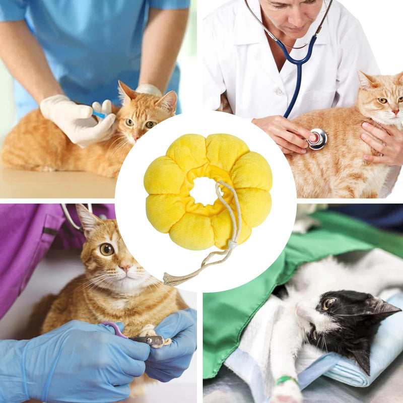 Thoquene Soft Cat Neck Brace, Adjustable Neck Brace, Sunflower Leak Protection Cat - BeesActive Australia