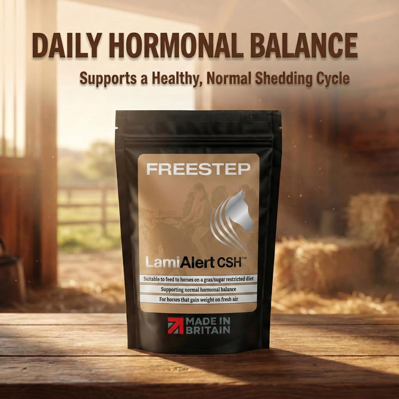 LamiAlert CSH | Natural Veteran Horse Support | Chasteberry Vitex Agnus Castus & Boswellia Powder | Senior Pony Hormonal Health Maintenance | Magnesium for Horse Grazing Management 250g | 2 Months Supply