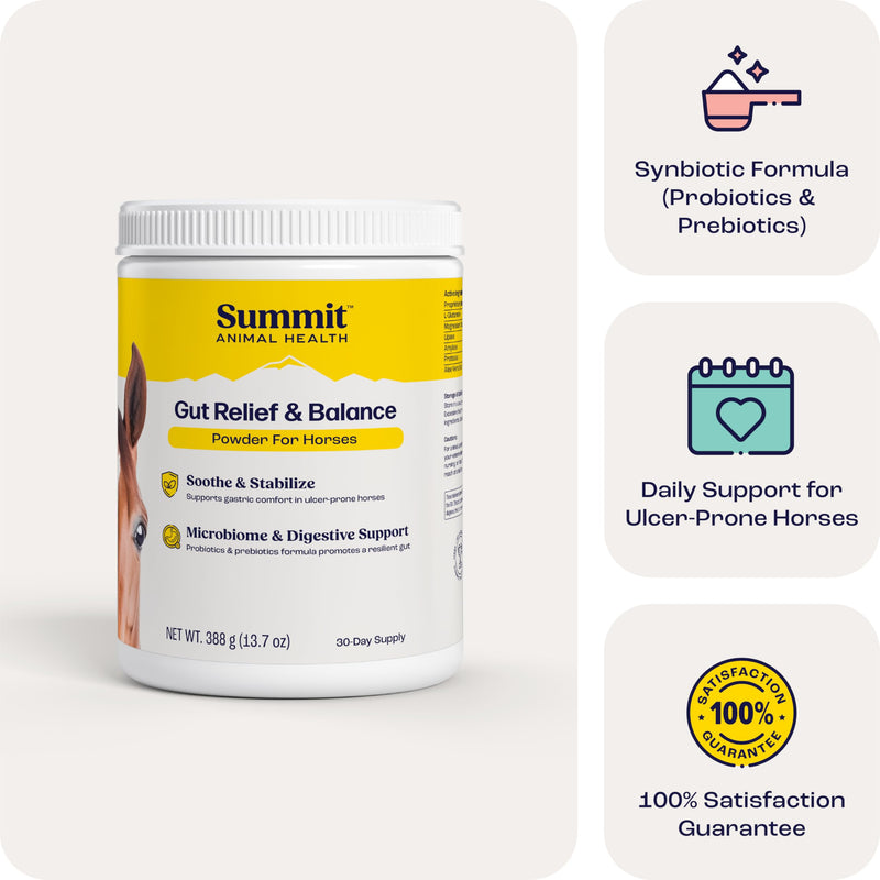 Gut Relief & Balance