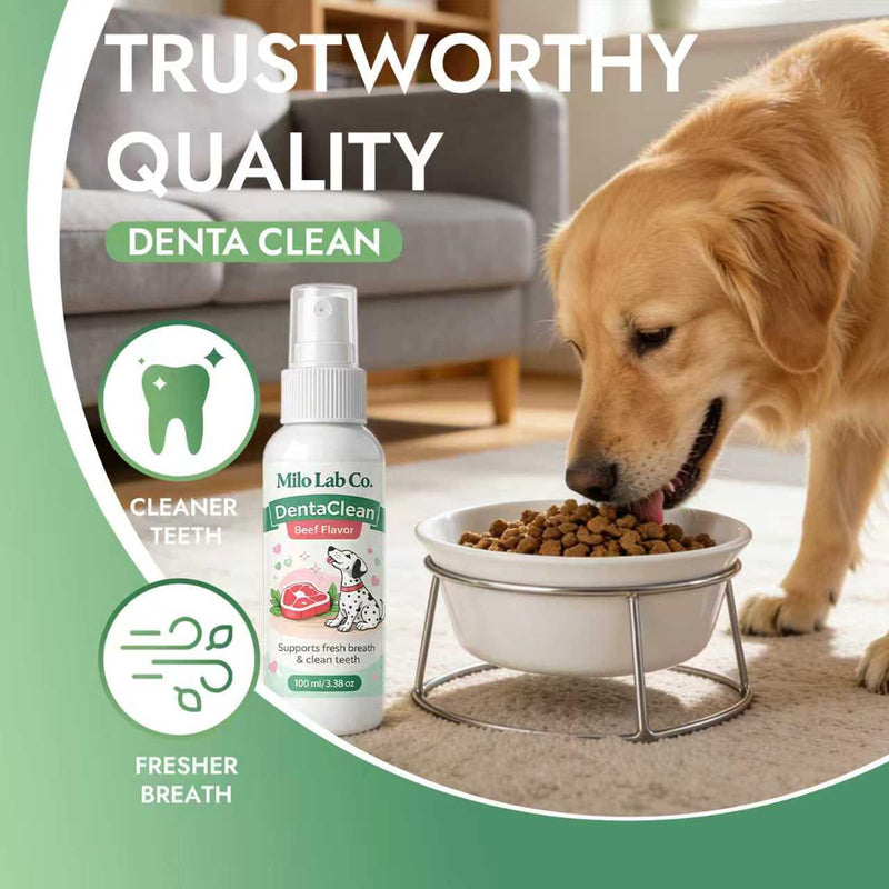 Advanced Dental Spray, Dentaclean Oral Care Pet Dental Spray, Breath Freshener Spray Supports Healthy Gums and Clean Teeth, Safe Ingestible Formula for Daily Pet Hygiene