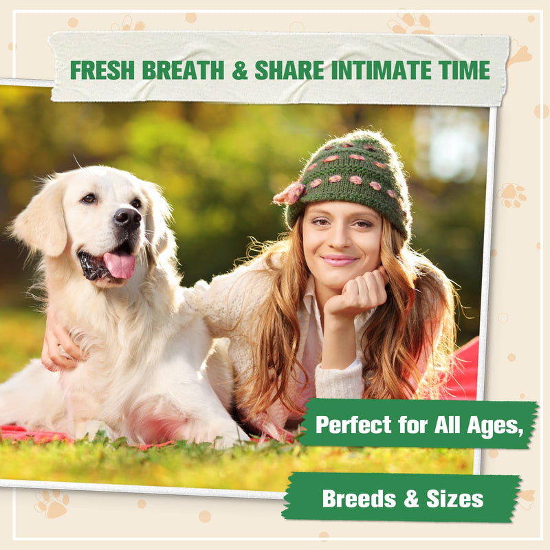 No Poo Chews - Coprophagia Deterrent for Dogs, No Poop Eating Deterrent for Dogs, Stopping Dog from Eating Poop Supplement with Probiotics & Digestive Enzymes 150ct Chicken