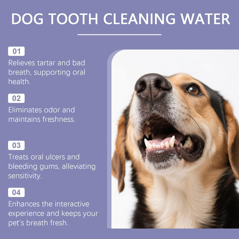 Dog Dental Water Additive, 200ml/6.76fl oz, Helps Freshen Breath & Helps Reduce Tartar, No Brushing Required, Gentle Formula for Daily Oral Care
