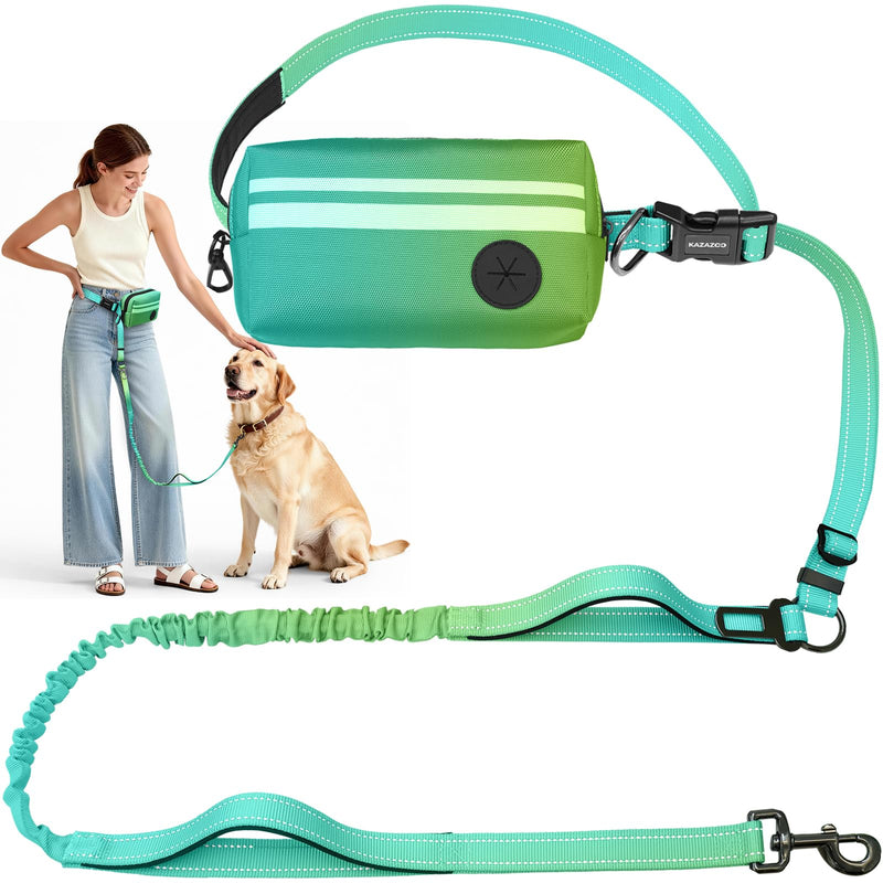 Hands Free Dog Leash with Removable Zipper Pouch, Dual Padded Handles and Durable Bungee for Walking, Jogging and Running-Your Dog (Large, 35-140 lbs-Cyan Cyan