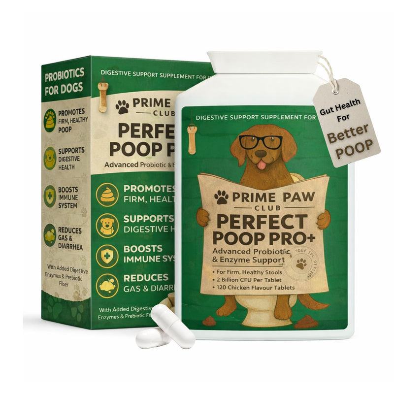 5-Strain Probiotics for Dogs | Digestive Enzymes & Prebiotics for Gut Health & Stool Quality | Sensitive Stomach & Digestive Support | Active Bacteria Complex