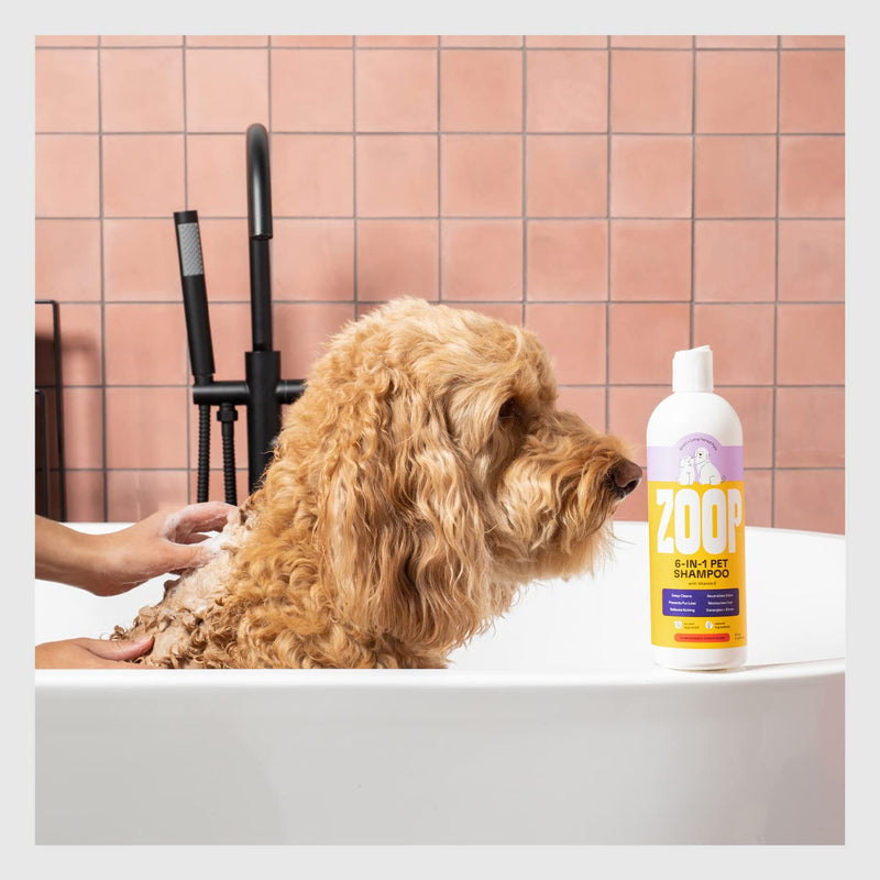 Dog Shampoo and Conditioner [16 oz.] 6-in-1 All Natural Pet Wash - Deep Clean, Odor Eliminating, Itch Relief, Moisturizing, Detangling, Reduce Shedding - BeesActive Australia