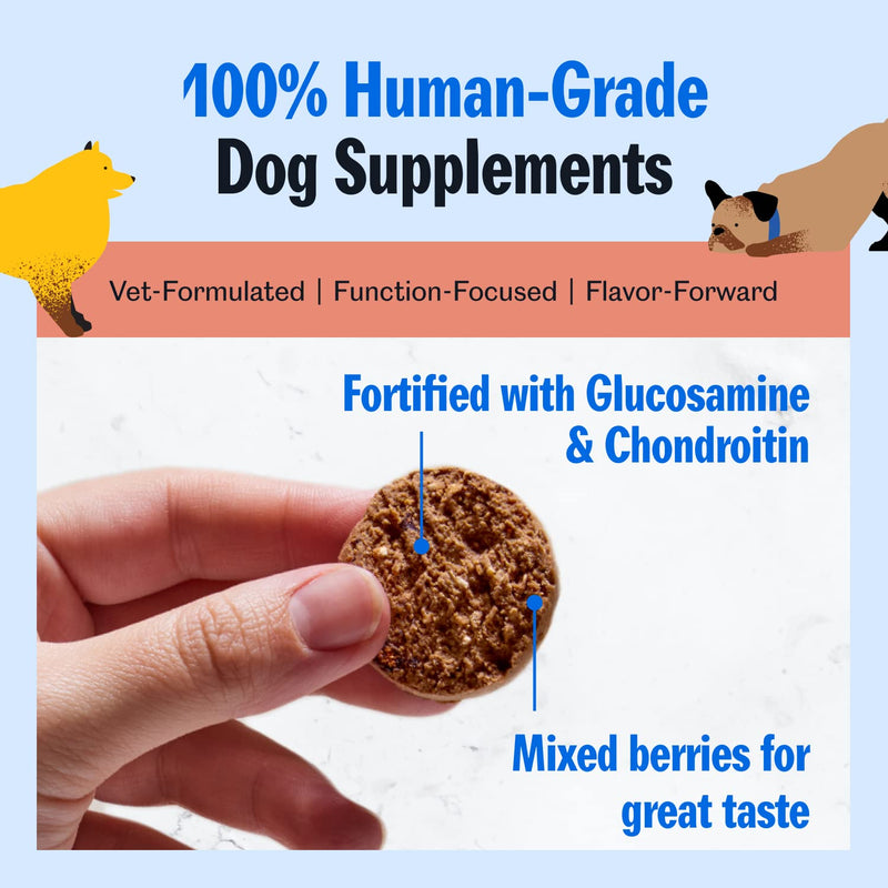 PetPlate Hip Hopping Soft Chews for Dogs, Hip and Joint Supplements, Organic and Human-Grade Ingredients, Mobility Support, Pet Supplies (Pack of 1, 9.8 Ounce) - PawsPlanet Australia