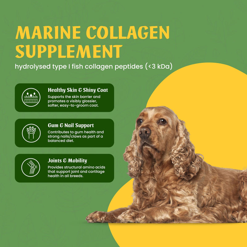 Marine Collagen for Dogs, Supports Dry and Itchy Skin, Shiny Coat & Healthy Gums, Premium Micronised Peptides, Skin Health Dog Supplement, 120 x 500mg Open & Sprinkle Capsules