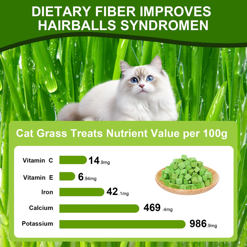 100g Freeze-Dried Cat Grass Treats, Natural Hairball Treatment for Cats, Edible Cats Chew Toy Cat Treats Snack for Teething Cleaning Hairball Removal 3.53 Ounce (Pack of 1)