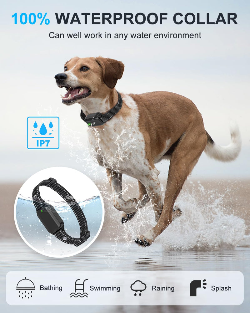 No Shock Dog Training Collar with Remote, Dog Vibration Collar with Controller Beep and Vibrate Only, Safe Lock Waterproof Rechargeable Vibrating Collars for Dogs(10-120 lbs)-No Prongs (Black) Black - BeesActive Australia