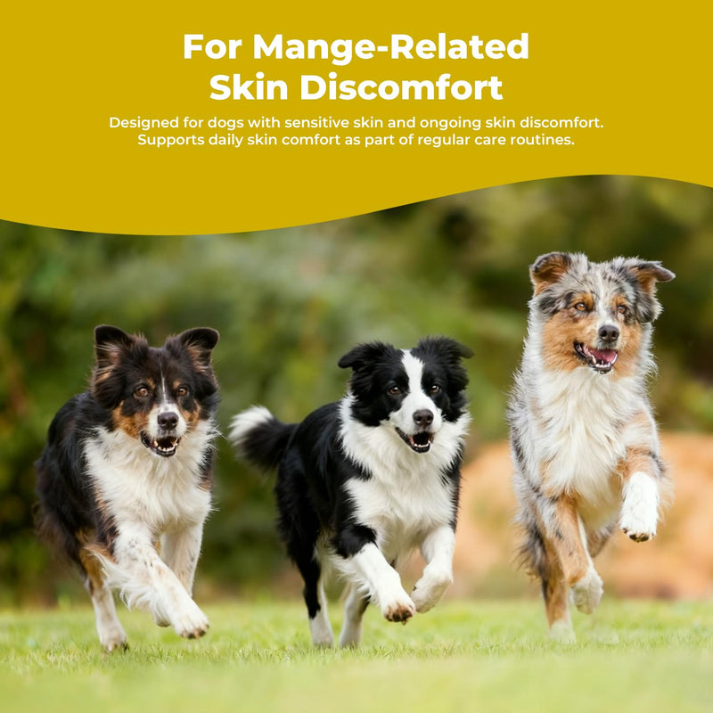 Mange Treatment Dogs, Itchy Skin Relief Drops, Helps Calm Scratching & Support Coat Recovery, Gentle Daily Dog Skin & Coat Support Supplement, 2 fl oz