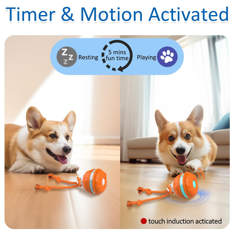 Interactive Dog Toys, Motion Activated Dog Ball, Automatic Rolling Ball Toys for Puppy/Small Dogs - BeesActive Australia