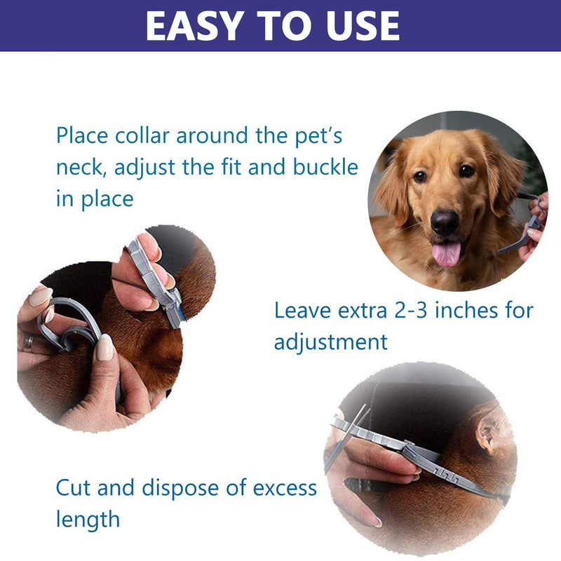Flea collar for dogs, tick collar for dogs, flea collar, adjustable, up to 8 months tick protection, 100% natural & waterproof, 64cm (black) black - BeesActive Australia
