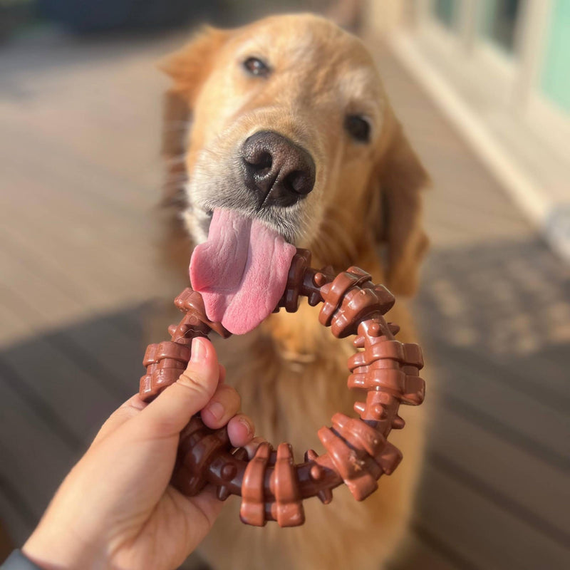 Nylabone Power Chew Textured Dog Chew Ring Toy, Dog Toys for Aggressive Chewers, Flavor Medley, X-Large/Souper (1 Count) X-Large/Souper (1 Count) - BeesActive Australia