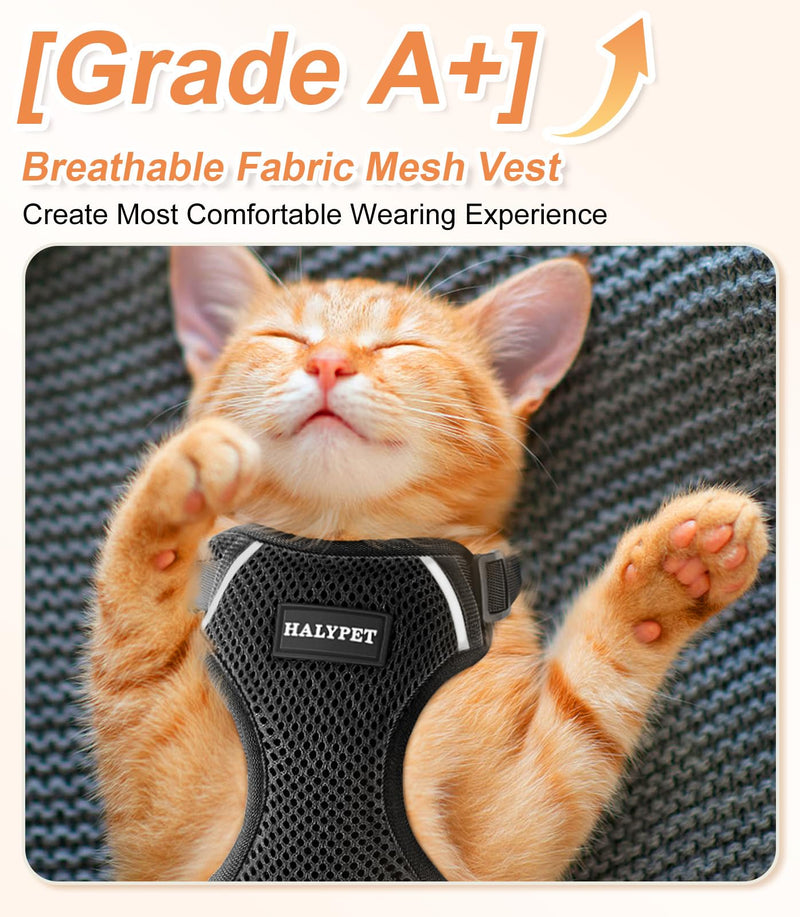 Cat Harness and Leash Set [ MAX Safety Third Generation ] Escape Proof Soft Adjustable Cat Leash Breathable Comfortable Vest Easy to Wear Kitten Harness for Outdoor Walking Black H200 Pro Black Medium - BeesActive Australia