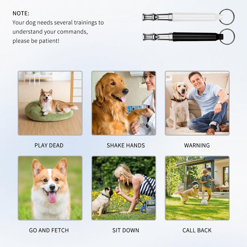 2-piece dog whistle Rütter recall, silent dog whistle high frequency silent, training aids for dogs whistles, dog training dog whistles, aid whistle dog recall, ultrasonic dog whistle (3A) black + white - BeesActive Australia
