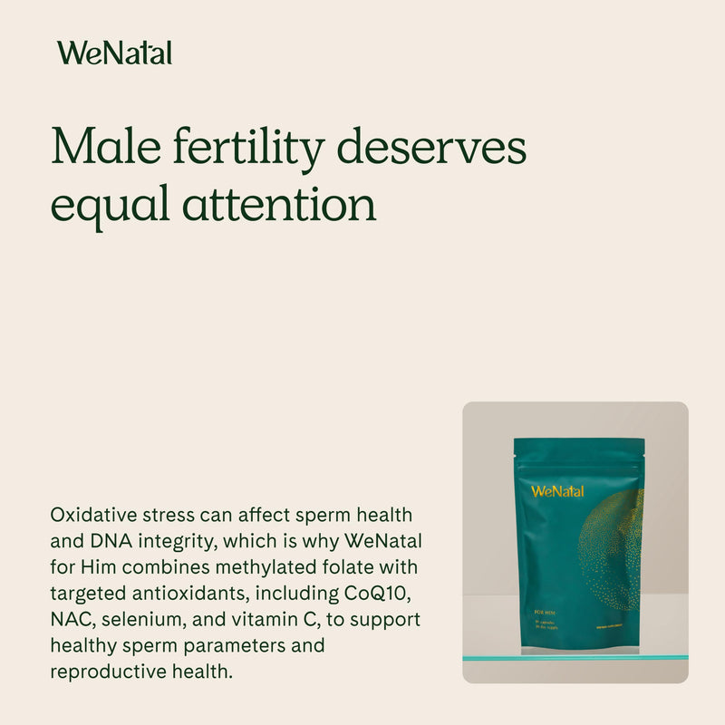 WeNatal for Him Prenatal Vitamins – CoQ10, NAC, L-Carnitine, 90 Capsules | Clinically studied by Citruslabs, adds methylated folate to support sperm quality, count and motility, vegan, kosher.