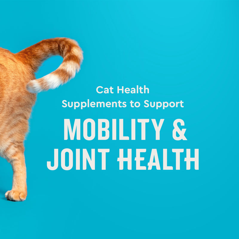 VetIQ Hip & Joint Supplement for Cats, Chicken Flavored Joint Health Supplement with Glucosamine and Green Lipped Mussel for Mobility and Arthritis Support, 3.7oz Standard Strength - 3.7oz