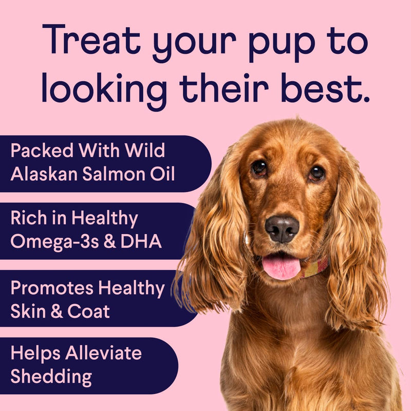 Finn Skin & Coat Salmon Oil Supplement for Dogs | Supports A Thick & Shiny Coat | Fish Oil from Wild Alaskan Salmon, Omega-3s, EPA & DHA, Biotin, & Zinc | 90 Soft Chews - PawsPlanet Australia