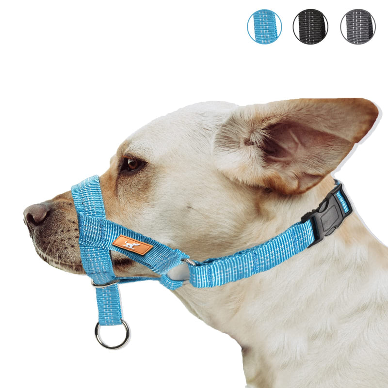 Dog Head Collar with Silk Thread, Soft and Adjustable Head Halter Collar for Small Medium Large Dogs in Striped Pattern(M,Blue) Blue - BeesActive Australia