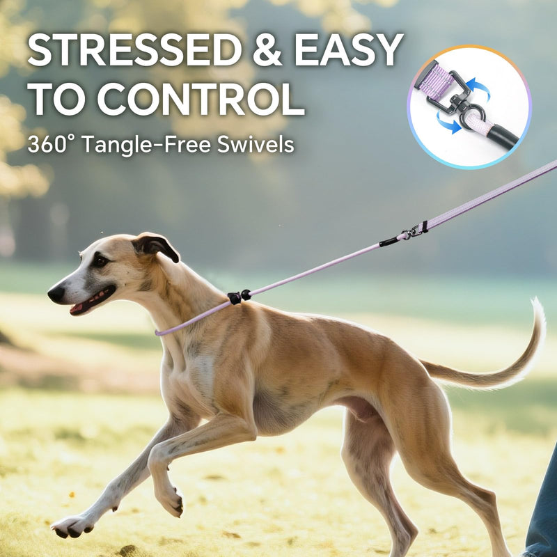 QQPETS Adjustable Slip Lead Dog Leash, Hands Free Waist Leash for Dog Walking, Reflective Training Lead with 360° Swivel Anti-Tangle, 4-7 ft Length for All Breeds Color Gradient