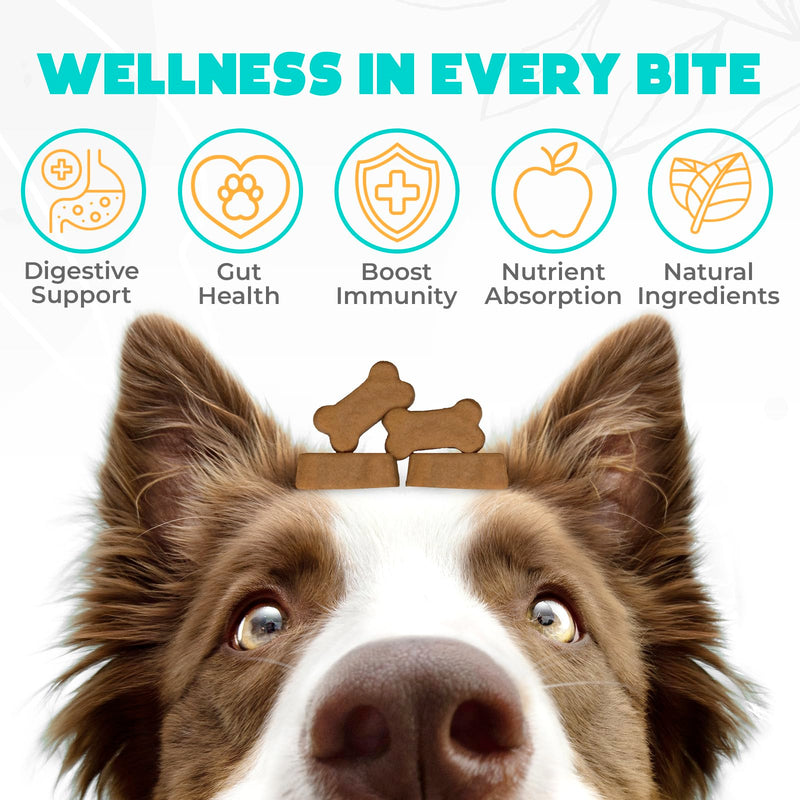 Probiotics for Dogs Chews 150PCs - Digestive, Gut Health & Diarrhea Support - Probiotic Chews for Dogs - Vet Approved US Formula with Dog Probiotics, Enzymes & Natural Ingredients - Chicken 150 pcs