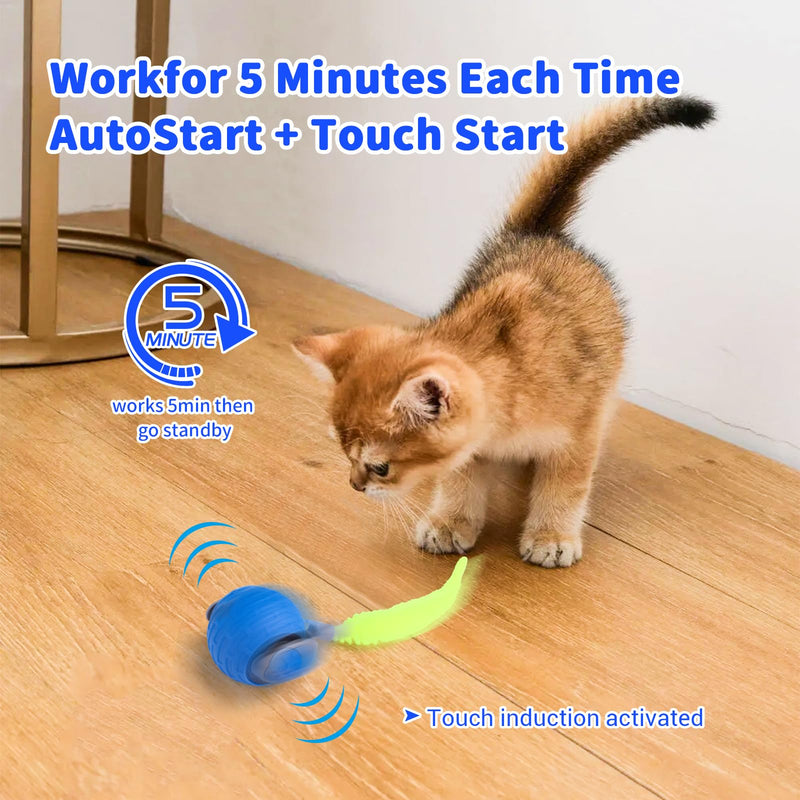 JAKPAK Cat Dog Toys Interactive Dog Cat Toy for Indoor Cats and Dogs with Tail Bird Chirping & Fast Move On Carpet Automatic Cat Dog Cat Ball Toy for Bored Indoor Cats 2.0 gen(Blue) Blue - BeesActive Australia