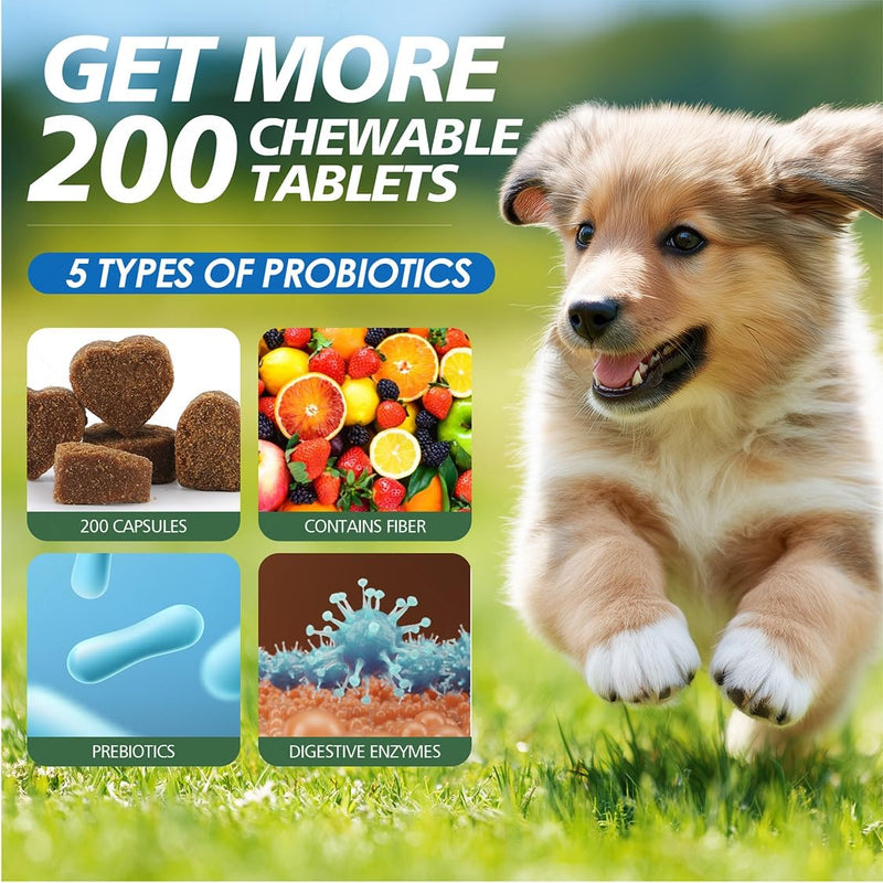 Probiotics for Dogs Gut Health, Digestion, Immunity, Relieve Diarrhea, Dog Probiotics Chews with Digestive Enzymes and Prebiotics, 200 Tablets (Chicken) Chicken