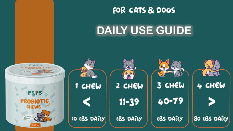 Dogs & Cats Probiotic Supplement with Bacillus Coagulans & Subtilis and Saccharomyces Boulardii – Supports Gut Health, Reduces Diarrhea, Bad Breath & Boosts Immunity - 0.66 lbs - BeesActive Australia