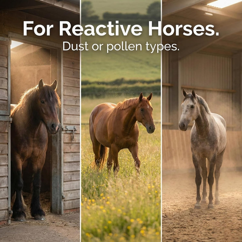RespriFree | Horse Respiratory Supplement | Rosehip, Magnesium & Ginger for Airway Support, Coughing & Wheezing | Equine Lung Health, Immune Support & Breathing Comfort for Performance 500g | 2 Month Supply