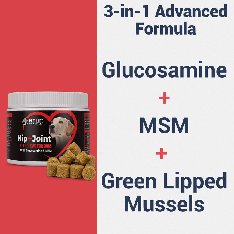 3-in-1 Joint Supplement for Dogs - with Glucosamine, MSM & Green Lipped Mussel - Daily Mobility Support for Small, Medium, Large, and Senior Breeds - Chicken Flavor - 60 Soft Chews