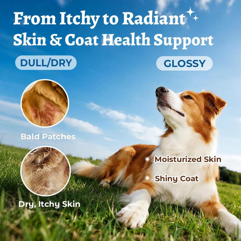 Salmon Oil Skin & Coat Supplement for Dogs-Omega 3 Fish Oil for Dog Healthy Skin,Glossy Coat with EPA & DHA Fatty Acid Heart Hip Joint Health,Skin Allergy,Hot Spot,Dry Skin,Itch Relief,Shedding