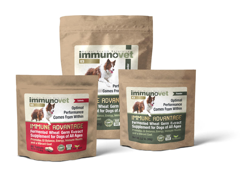 Plant-Based Dog Supplement Powder | Fermented Wheat Germ Extract | Boosts Immunity, Gut Health & Energy | Natural Pet Supplement for All Dog Ages | Non-GMO, Vet Trusted, Safe Formula- 90g Powder 90G