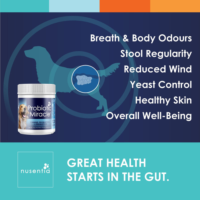 Probiotic Miracle® : Canine Probiotics + Prebiotics : Unflavoured : Concentrated Powder