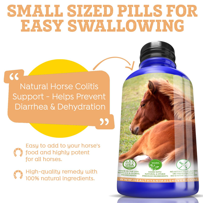 Animals 4Ever All-Natural Horse Colitis Support - Helps Prevent Diarrhea & Dehydration - Supplements for Horses - Homeopathic & Highly Effective - 300 Tablets - BeesActive Australia