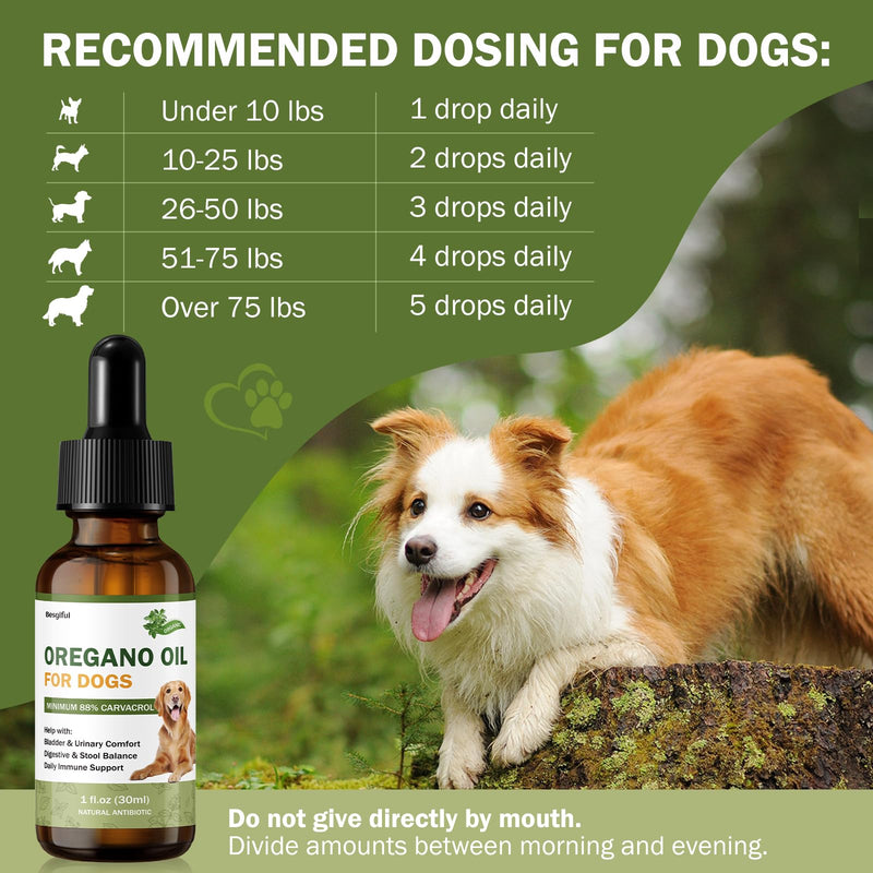Wild Mediterranean Oregano Oil for Dogs, Promotes Bladder & Urinary Function, Gut Balance & Diarrhea Relief, Supports Immunity and Overall Health, Over 88% Carvacrol Organic Oregano Oil