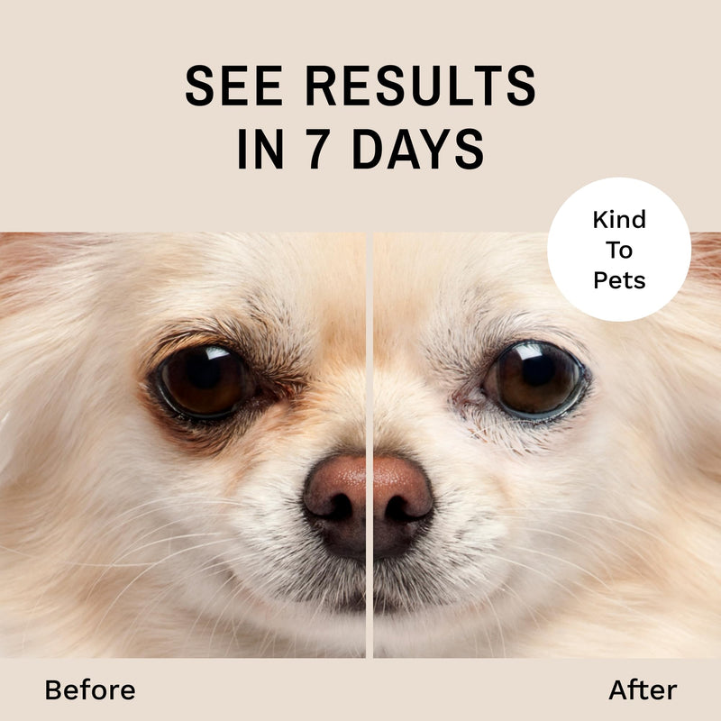 Eye Envy Tear Stain Remover Solution for Dogs|100% Natural,Safe|Recommended by Breeders/Vet/Professional Handlers/Groomers|Contains colloidal Silver|Remove Stains from White/Light Fur,Skin Folds (8oz) 8oz - BeesActive Australia