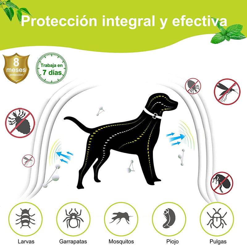 DEWEL 63.5 cm dog collars against pests, adjustable tick collar for dogs and cats, waterproof dog flea collar - BeesActive Australia