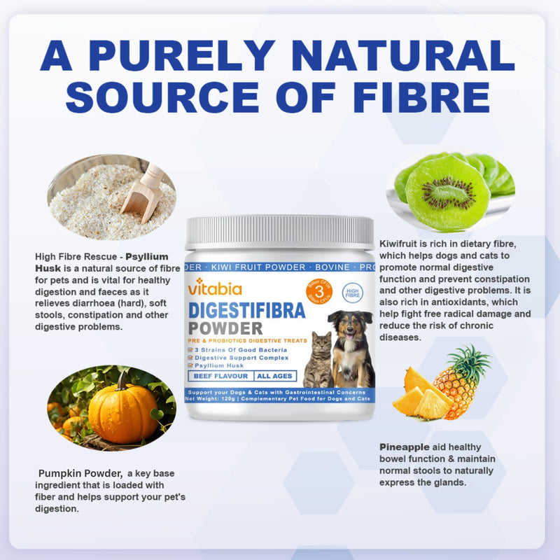 DigestiFibra Powder for Dogs & Cats – Natural Fibre Powder Supplement for Gut Health, Anal Glands & Scooting Relief – Prebiotic & Probiotic Digestive Treats – Fibre Supplement for Dogs & Cats 120g