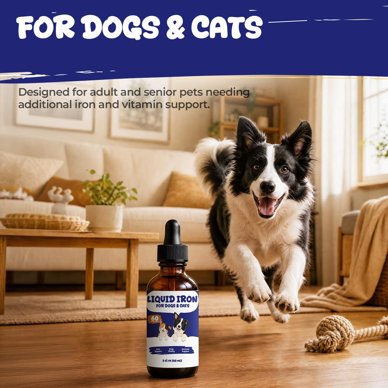 Liquid Iron Supplement for Dogs & Cats, Blood Health & Vitamin B12 Drops | With Vitamin C, Folate, Zinc & Copper to Support Red Blood Cell Formation, Daily Energy & Vitality, 2 fl oz (60 mL)