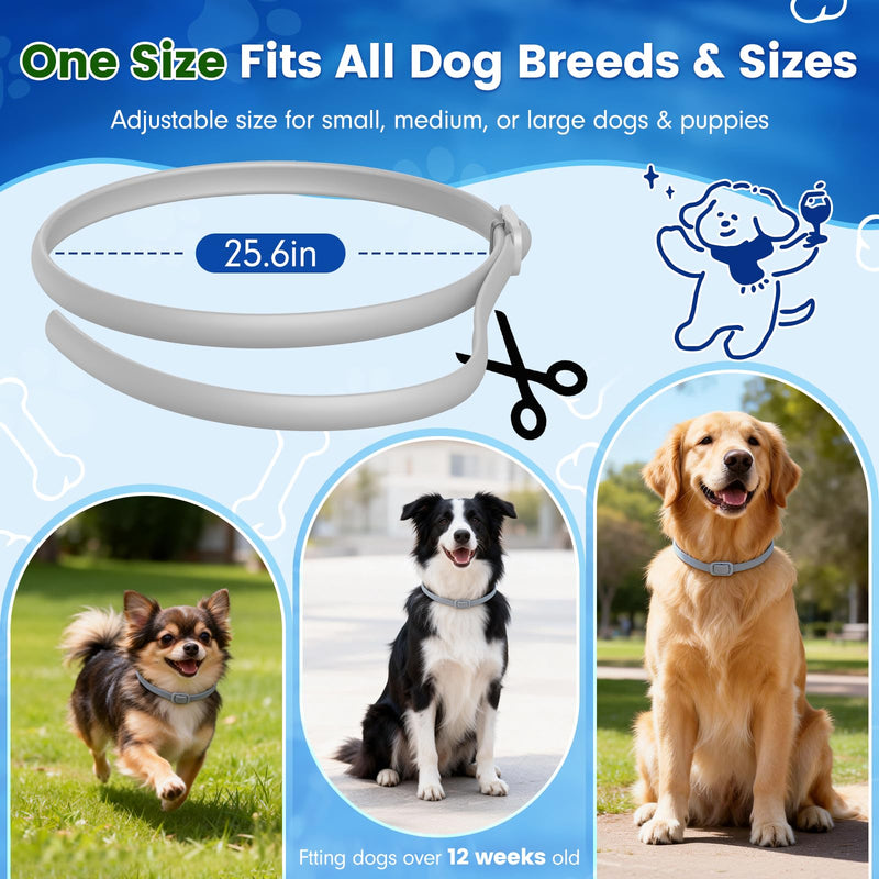 KOOSA Flea and Tick Collar for Dogs, 2 Packs Flea Collar for Dogs with Natural Essential Oils, Waterproof & Adjustable Flea and Tick Prevention Collar for Small Medium Large Dogs & Puppies, Grey 06