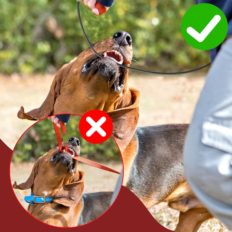 Chew-Proof Dog Seat Belt for Car, Dog Leash Tether Extender Dog Vehicle Safety Cable, Double Clip No-Chew Pet Car Leash 16 Inch Coated Wire Dog Leash Safety Restraint, 360°Rotation (Black) - BeesActive Australia