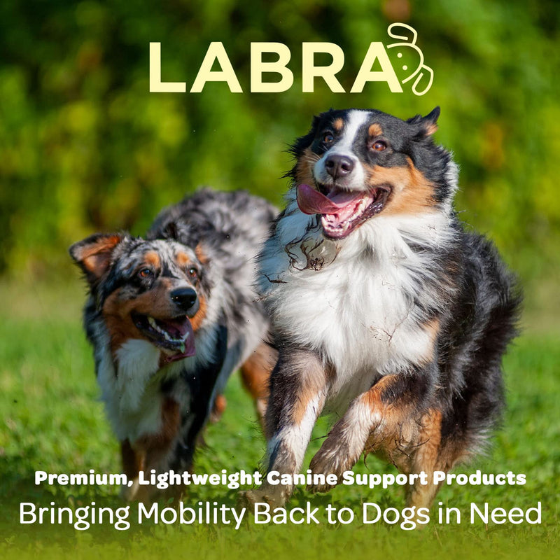 Labra Dog Front Leg Brace - Compression Wrap with Adjustable Straps - Dog Wrist Brace for Support - Leg Sleeve to Stop Licking - Aid in Wound Care and Recovery - Large/Extra Large - BeesActive Australia
