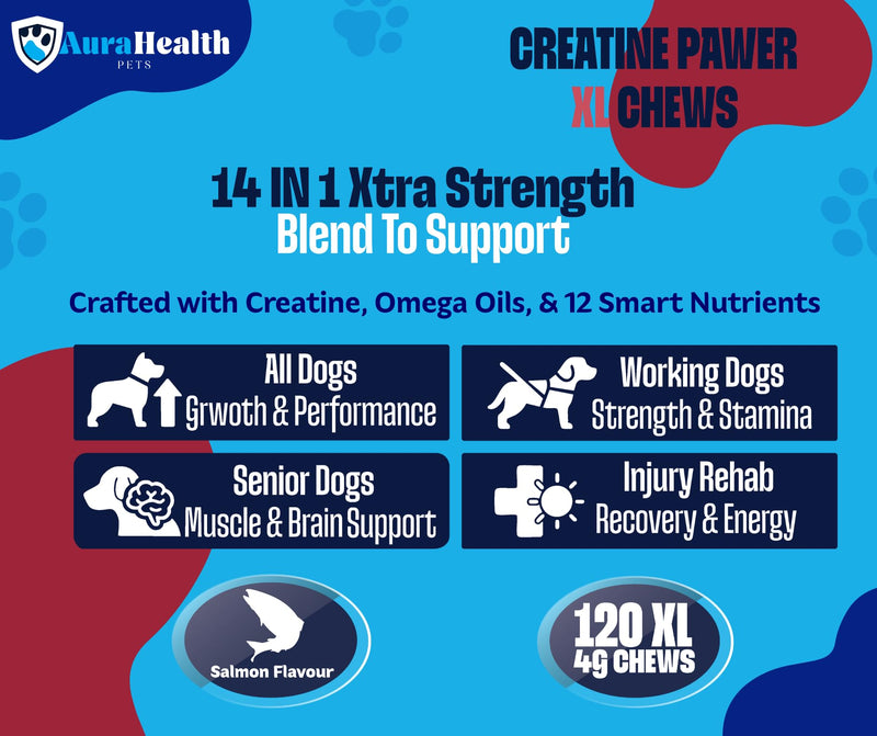 Dual-Action Strength & Gut Health Bundle for Medium to Large Dogs (120 XL Chews x2)