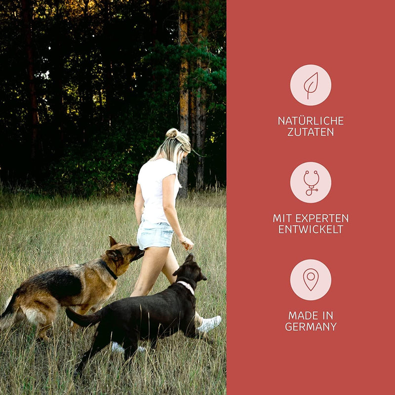 mammaly Easy Protect Skin and Coat Spray for Dogs, Strengthens the Body's Skin Health (100 ml) - BeesActive Australia