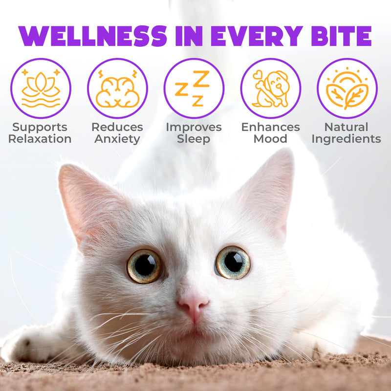 Hemp Calming Chews for Cats Anxiety 200 pcs - Feline Anxiety Relief with Melatonin - for Stress, Travel, Check-up, restlessness or Separation - Cat Calming Treats Salmon