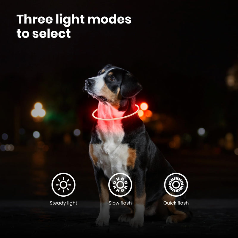PetSol LED Dog Collar in Red - USB Rechargeable Safety Collar with Flashing Light for Dogs, Cats and Puppies - Size S, M and L - Fashionable Glow in the Dark Design - BeesActive Australia