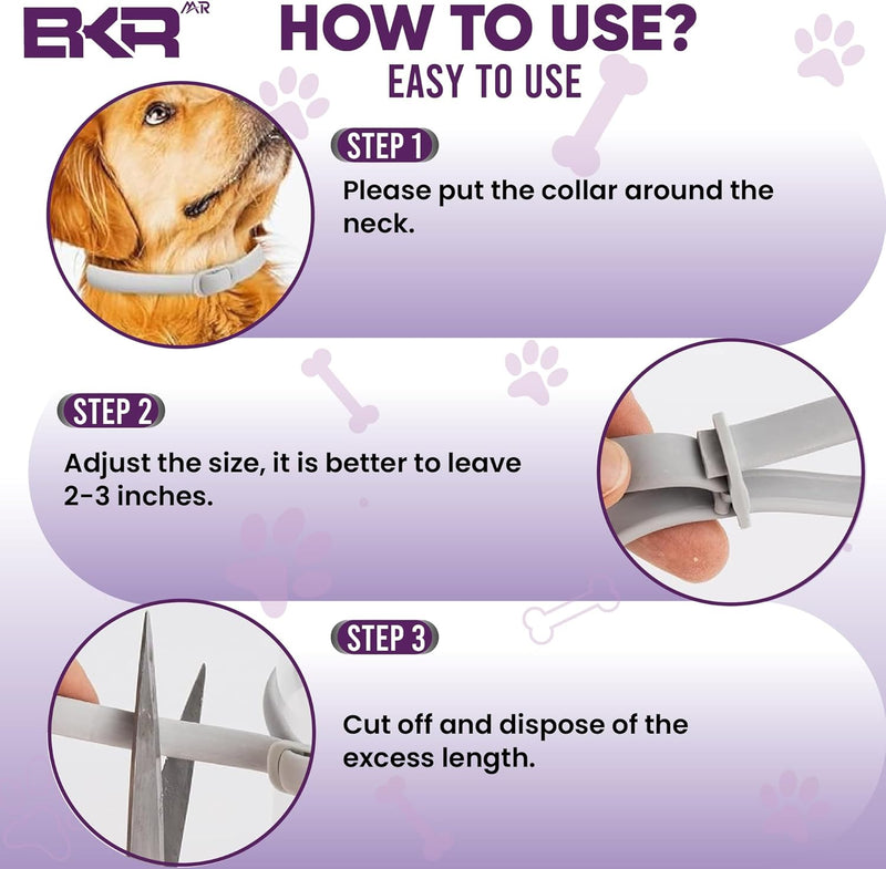 Flea Collar for Dogs 2 Pack 16 Months Protection Natural Flea and Tick Prevention for Dogs, One Size Fits for All Dog Flea Collar - BeesActive Australia