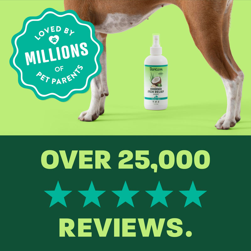 TropiClean Medicated Itch Relief Deodorizing Spray, Oatmeal & Aloe Scented, Dog Perfume with Soothing Aloe, 12oz
